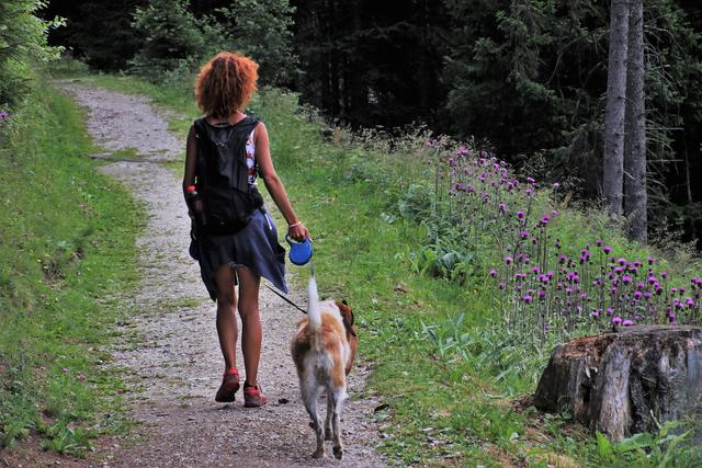 Bitte an die Leine auch in Wald und Wiese