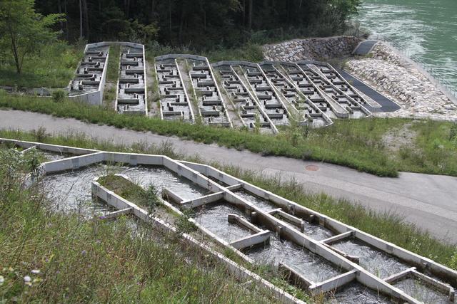 Der Rekordhalter seit 2015: der "Fishpass" am Kraftwerk Schwabeck an der Drau