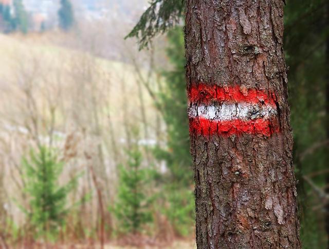 Auch beim Wandern finden wir Rot-Weiß-Rot.