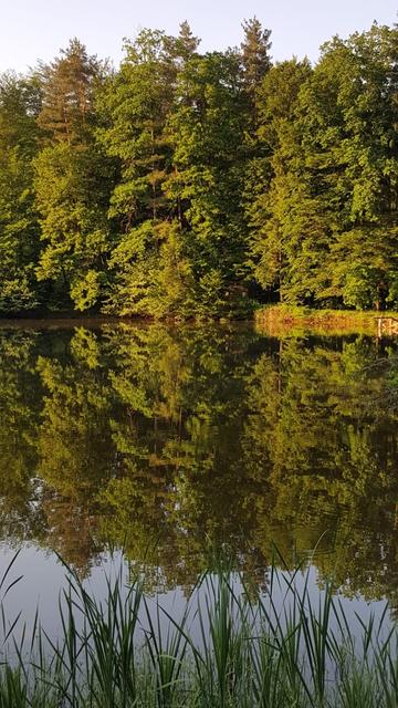 Der idyllische Himmelsteich am Schilcherkeller-Rundwanderweg.