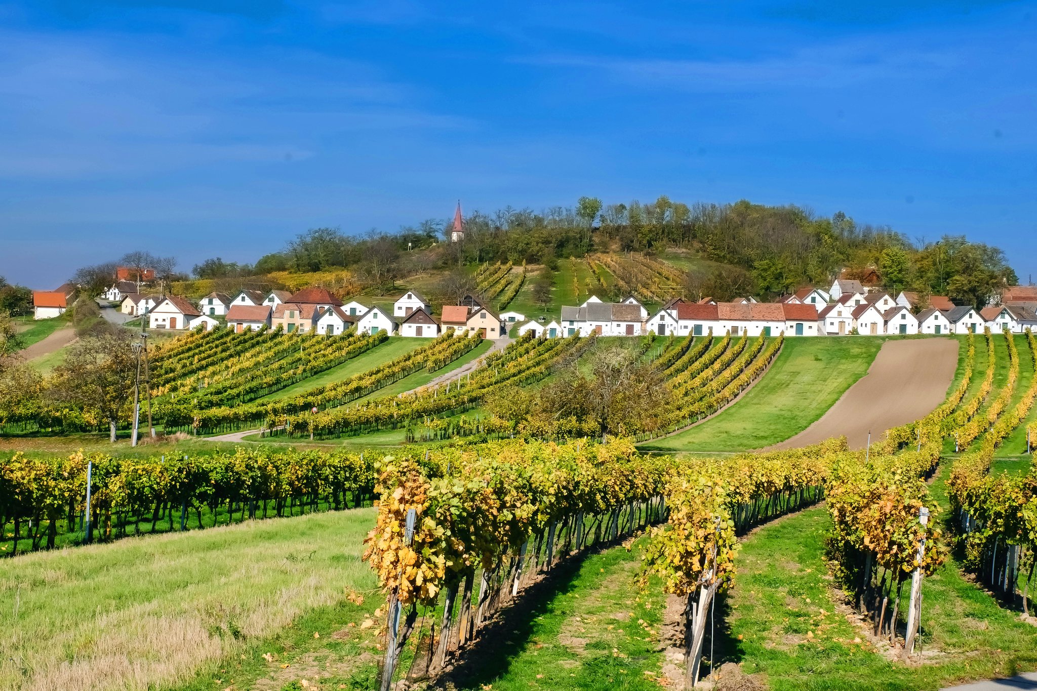 Wildendürnbach, Wildendürnbach, am Galgenberg Liesing
