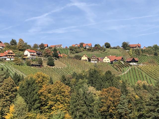 „ 9 Plätze - 9 Schätze: Die malerisch steilen Weingärten Hochgrail in St. Stefan ob Stainz sind ab sofort zweitschönster Platz in ganz Österreich.