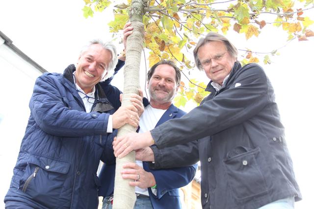 Wanderallee Kiwanis
Baumpaten: René Tarmastin, Herbert Moser und Karl Hubel (von links) vom Kiwanis-Club Villach.