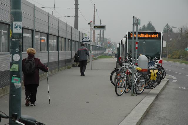In der Thayagasse gibt es kein Wartehäuschen.