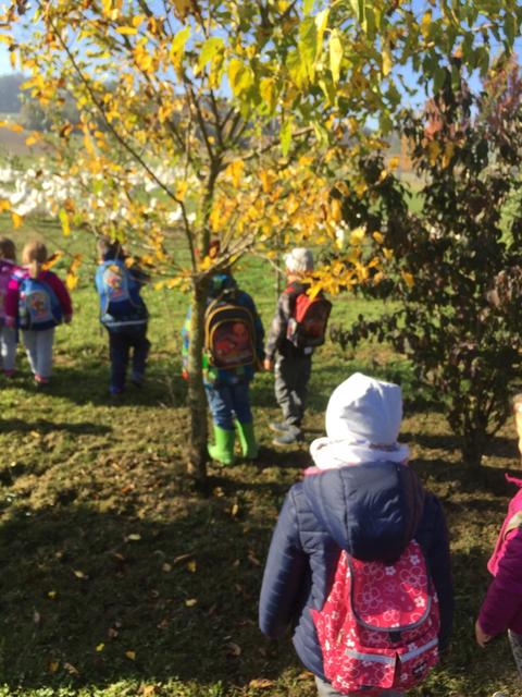 Deutsch Schützen-Eisenberg: Kindergartenkinder bei den Schneider-Gänsen