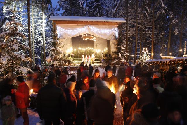 Der Wohl schönste Weihnachtsmarkt - tausende Kerzenlichter mitten im Wald | Foto: Baumkronenweg