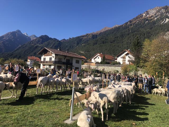 Foto: Siegele