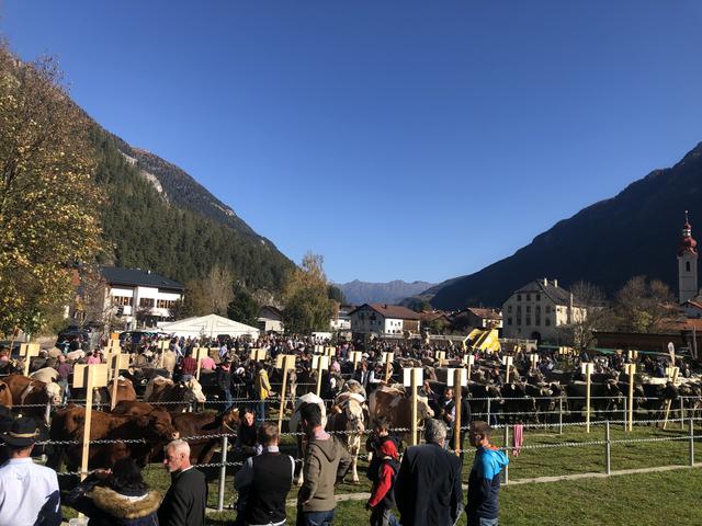 Foto: Siegele