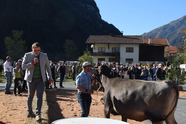 270 gemeldete Tiere waren bei den Ringvorführungen zu sehen. | Foto: Siegele