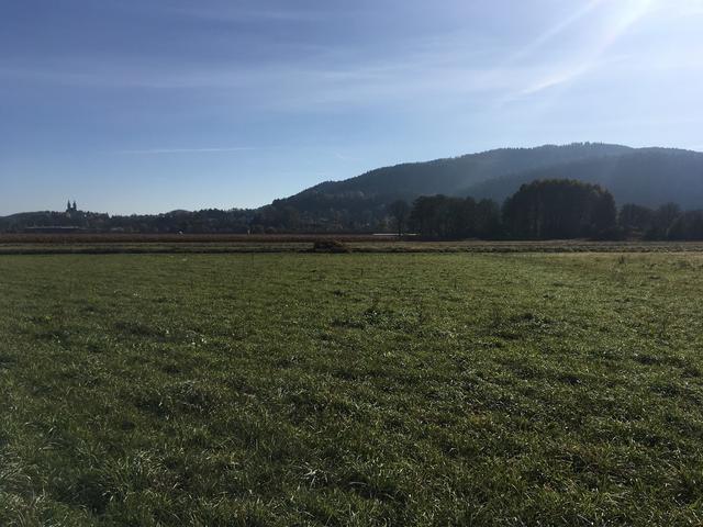 Die landwirtschaftliche Eintönigkeit des Zollfeldes zwischen Maria Saal und Karnburg | Foto: Arge Biodiversität