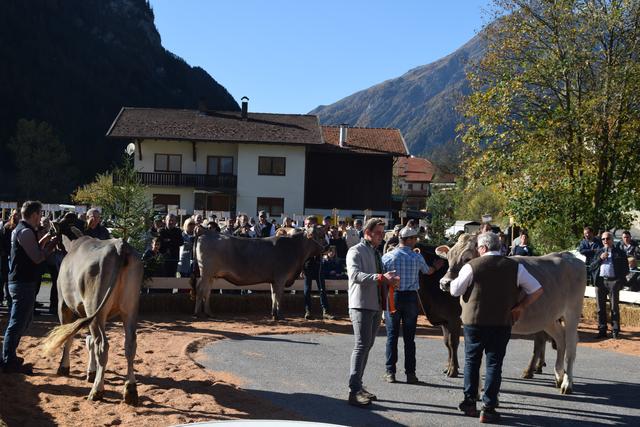 Foto: Siegele