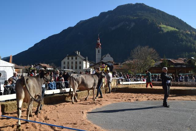 Foto: Siegele