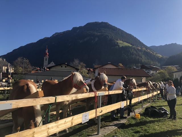 Foto: Siegele
