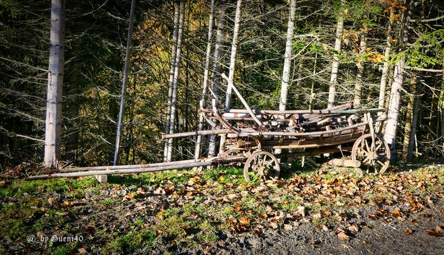 .....na,mit dem Taxi wird es heut wohl nix,also "Tscherfeltaxi",aber auch gesünder......