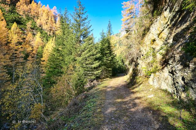 .........richtig schön ist es da durch den Wald......