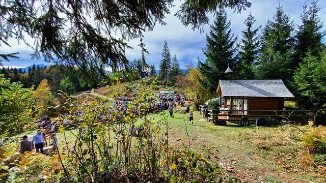 Foto: Barbara Gerber