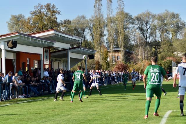 Spitzenkulisse mit über 250 Fans | Foto: Michl