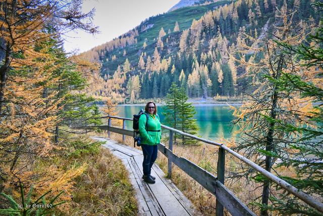.......auf der anderen Seite geht es durch den Wald zur Hütte zurück mit der lächelnden Lisa......