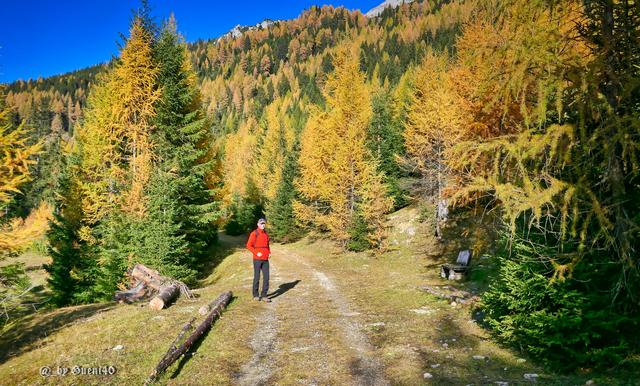 ..........unser lieber Paul macht auch eine gute Figur.......