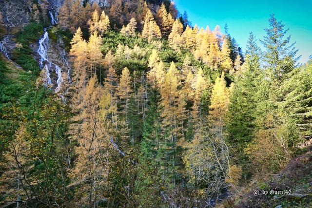 .........auch mehrere Quellen kommen die Felsen runter......