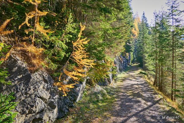 ........ein Blick zurück,wo man immer alles geniessen kann....