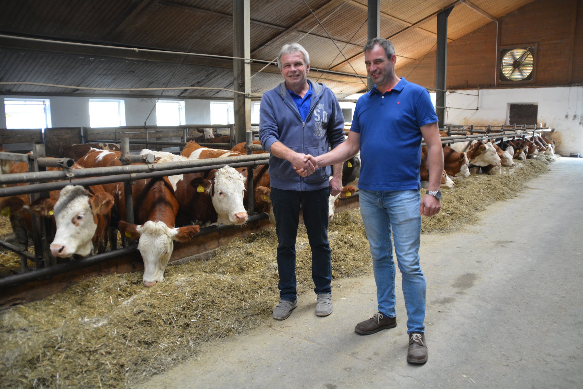 Rindfleisch á la Carte: Hochwertiges Fleisch aus Sölling - Scheibbs