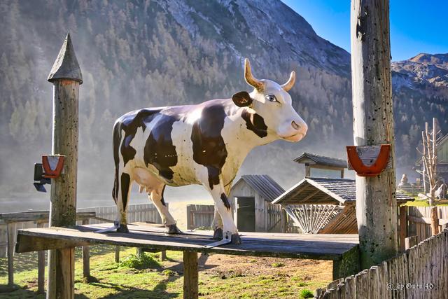 ......hier bin ich der Boss, Güni:))