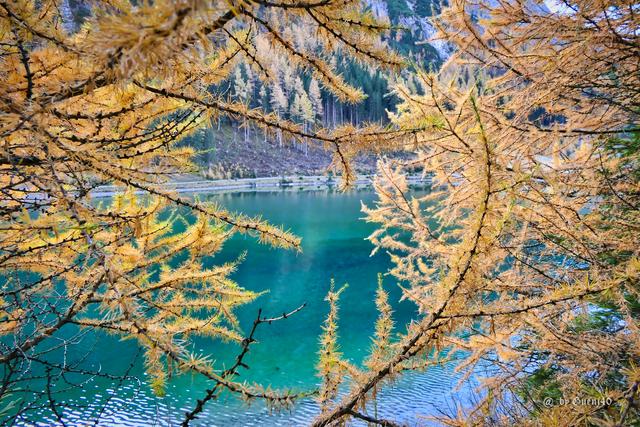 ......immer den Durchblick haben.......