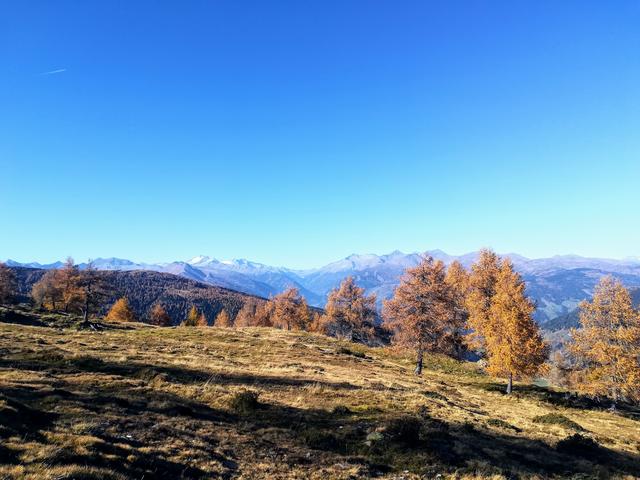 Blick auf die Hochalmspitze 