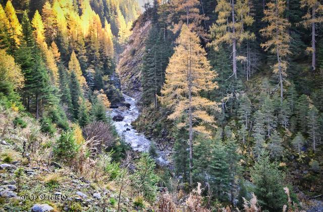 .........unten fließt der Bach und hinterläßt ein lautes rauschen,herrlich ist sowas......