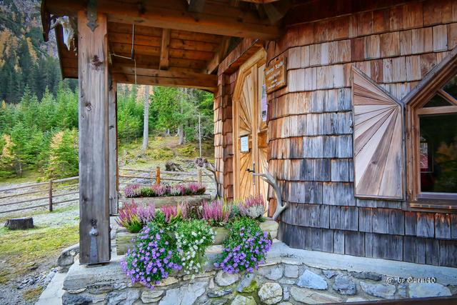 ........die Blumelen strahlen noch,Farben tun überall gut......