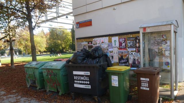 Am 27.10 war dann schon ein "Gupf" vorhanden - bald ist Zeit zum Ernten ;-) 