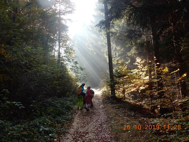 Herrliche Herbststimmung am Weg zum Troppberg | Foto: Gablitzer Freizeit- und Tourismusverein