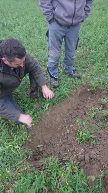 Erklärung der heuer durchgeführten Maßnahmen von Hubert Ullmann auf seinem Feld.