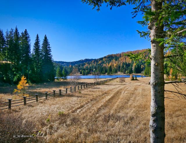 ........ein Blick raus zum See entlang des Zaun's......