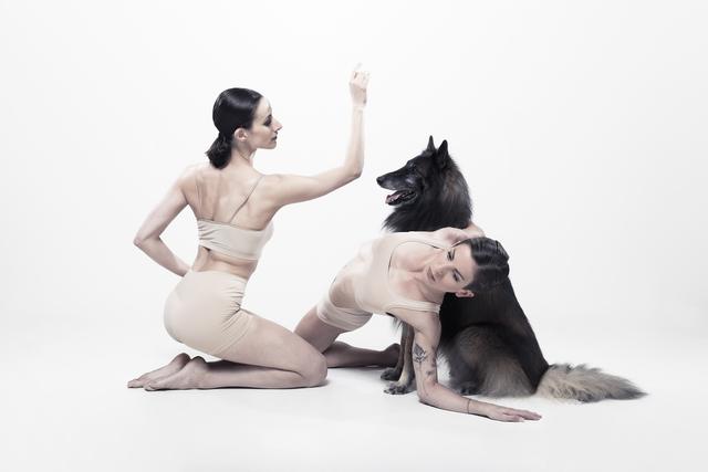 Das gefeierte Ballettstück "Le Sacre du printemps" ist für nur 10 Euro Aufpreis im Musiktheater im Rahmen der Langen Nacht der Bühnen zu sehen.