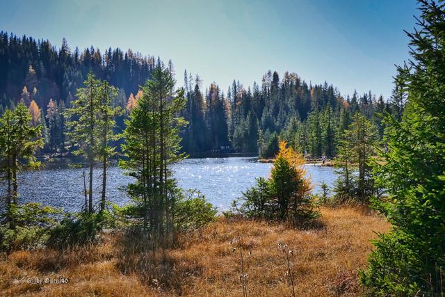 ...........im See glitzern die Sonnensterndlen...........