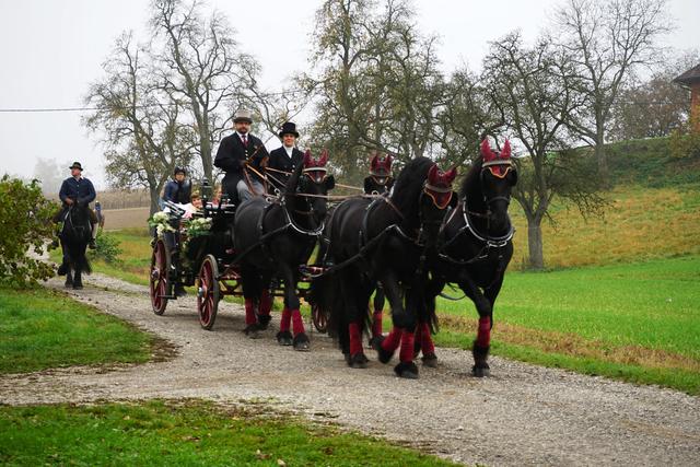 Die elegante Hochzeitkutsche vom Friesenhof Stadlmayr aus Roitham 
 | Foto: Ing. Franz Helm, Pucking
