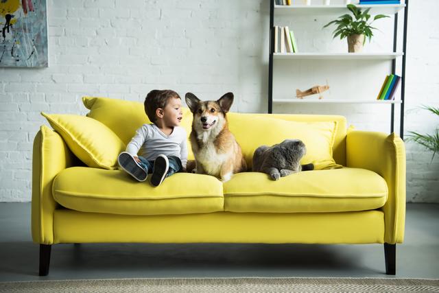 Ist das Mikrobiom von Hund und Katz gestört, macht sich dies häufig in Form von Durchfall bemerkbar. | Foto: LightField Studios/Shutterstock.com