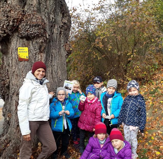 Die Kindergartenkinder (hier: Jan, Mira, Julia, Lorenz, Jonas, Annika, Emma und Rosa mit Franziska Denner) haben den alten Baum in dieser Zeit richtig ins Herz geschlossen. | Foto: Margit Simonofsky