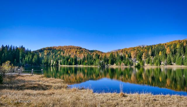 ........die Farben des Herbstes leuchten überall.....