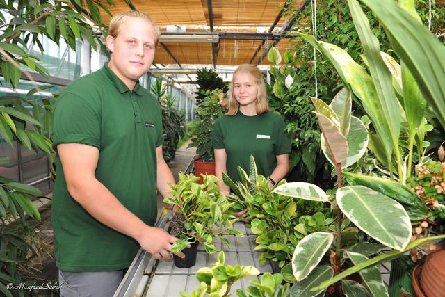 Im Lehrgarten sind Piermoser und Wenzelburger zur Gänze selbst für ihre Gemüsepflanzen verantwortlich. | Foto: Manfred Sebek