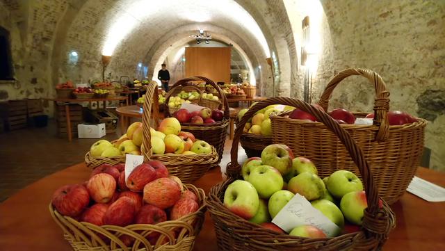 Alles Apfel war das Motto beim Apfelkulinarium auf der Burg Forchtenstein. 3.000 Besucher erfreuten sich an den vielfältigsten Sorten. | Foto: Verein Wieseninitiative