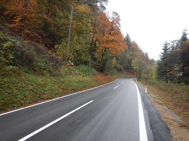Die B64 ist im Raum Naas aufgrund von Forst- und Felssicherungsarbeiten von 4. November bis 23. Dezember nur einspurig befahrbar. | Foto: KK