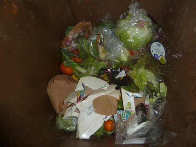 In Plastik verpacktes Obst wird einfach über die die Biotonne entsorgt...