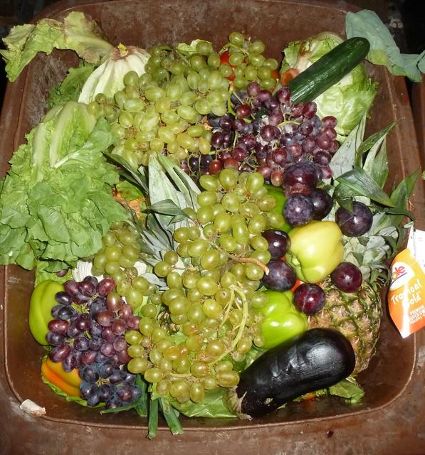 Leckere Biotonne mit frischem Obst und Gemüse, alles eigentlich essbereit - oder?