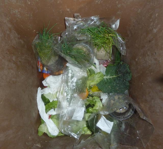 In Plastik verpacktes Obst wird einfach über die die Biotonne entsorgt...