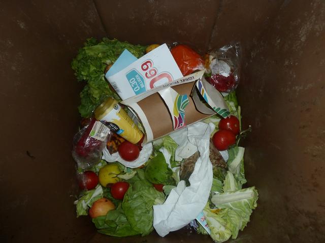 In Plastik verpacktes Obst wird einfach über die die Biotonne entsorgt...