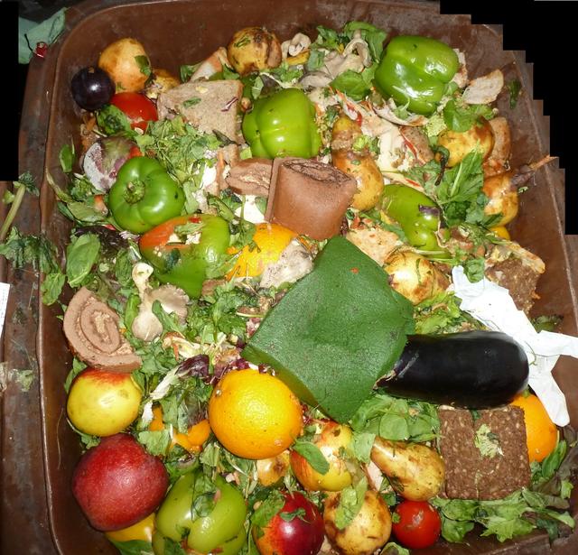 Leckere Biotonne - Obst, Gemüse und Kuchen sind aber eigentlich essbereit - oder?