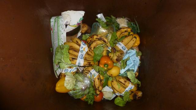 Bananen- und Plastikwahn in der Biotonne